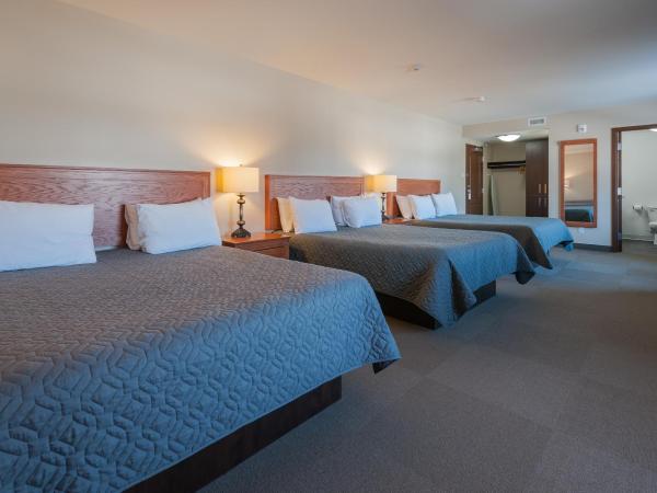 Hotel & Suites Monte-Cristo : photo 1 de la chambre chambre familiale