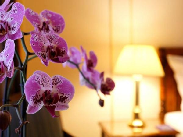 Hotel Le Plaza Brussels : photo 7 de la chambre chambre double prestige