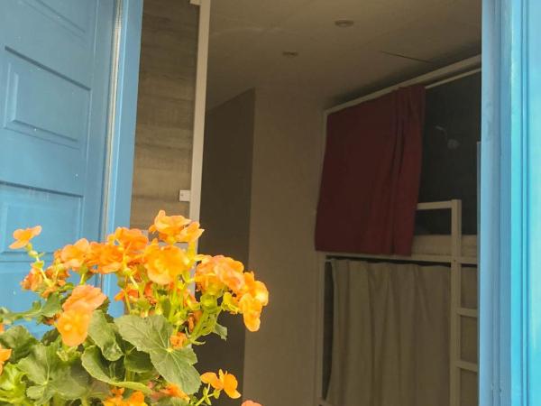 Cantagua Hostel : photo 6 de la chambre lit dans dortoir pour femmes de 4 lits