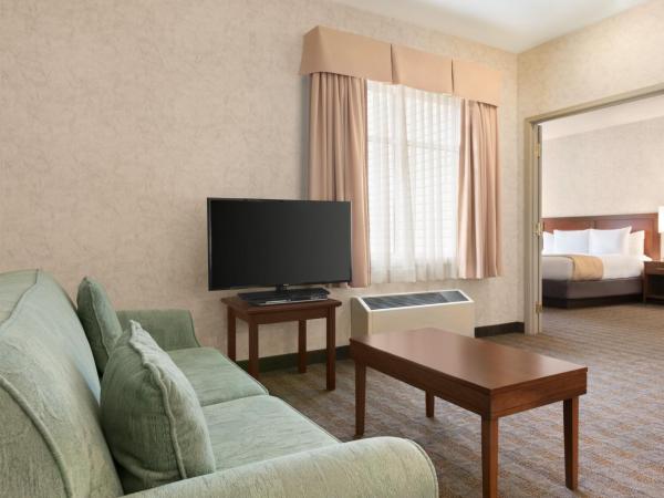 Days Inn by Wyndham Ottawa Airport : photo 2 de la chambre suite lit king-size - non-fumeurs