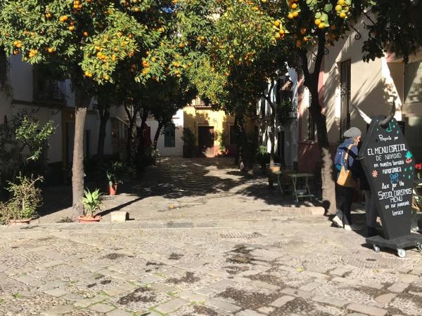Apartamentos Flamenco B&B : photo 2 de la chambre chambre double avec salle de bains privative