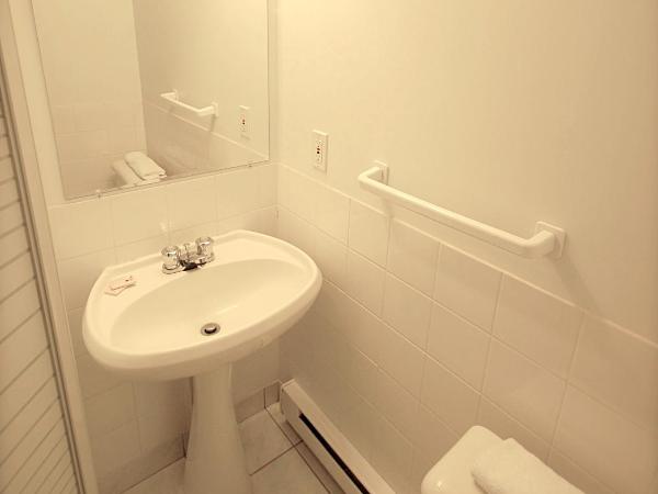 Hotel Auberge Michel Doyon : photo 5 de la chambre chambre double standard avec salle de bains privative