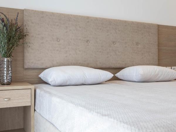 Mare Naxia Hotel : photo 8 de la chambre chambre double ou lits jumeaux supérieure