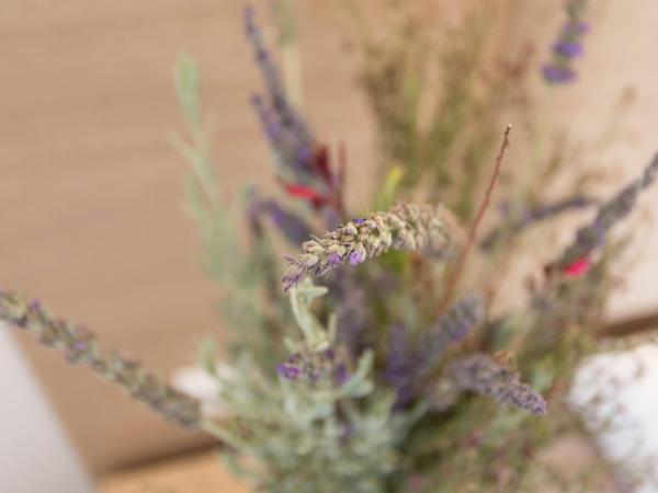 Mare Naxia Hotel : photo 1 de la chambre chambre double ou lits jumeaux Économique