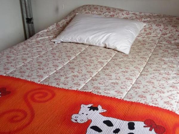 Cabañas Kehuen : photo 8 de la chambre maison de vacances