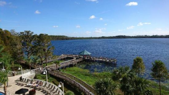 Penthouse Close to Disney area and Malls water view : photo 10 de la chambre appartement - vue sur lac