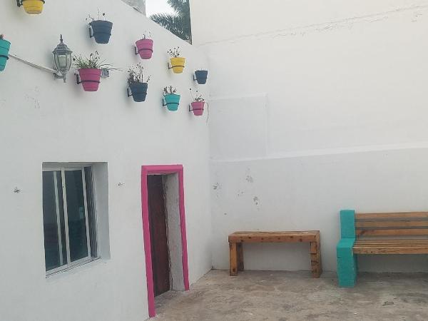 Hostal Xiinbal : photo 3 de la chambre lit superposé dans dortoir mixte