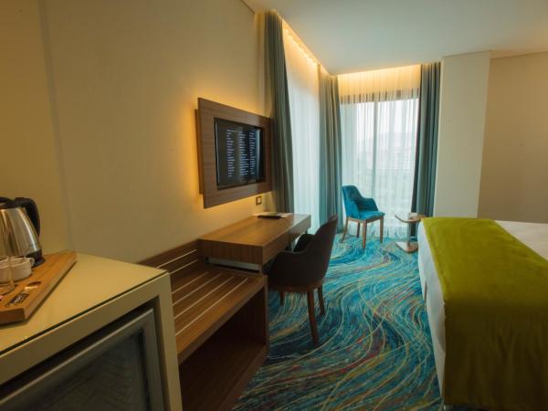 ibis Styles Izmir Bornova : photo 6 de la chambre chambre double standard