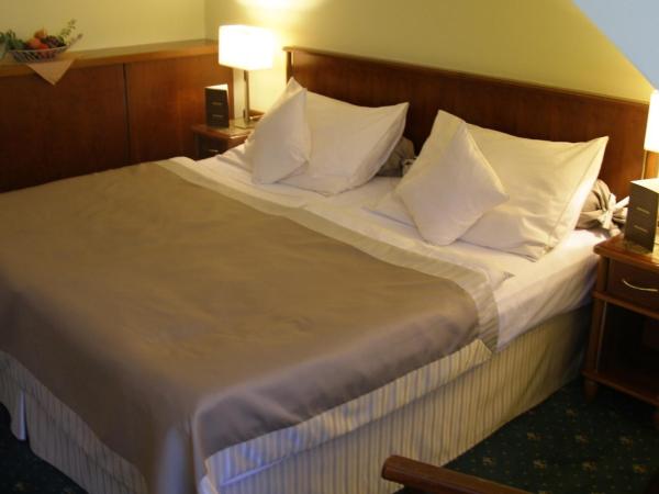 Hotel Selsky Dvur - Bohemian Village Courtyard : photo 2 de la chambre chambre double ou lits jumeaux standard