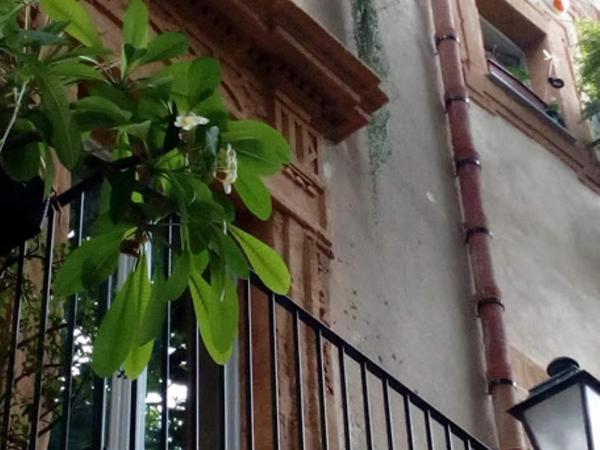 Arimatea Accommodations : photo 4 de la chambre lit simple dans dortoir mixte