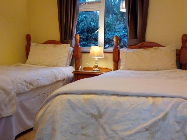 Corrib View Guesthouse h91rr72 : photo 1 de la chambre chambre lits jumeaux avec salle de bains commune