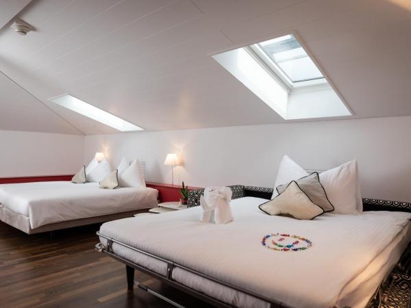 Best Western Hotel Spirgarten : photo 2 de la chambre chambre lits jumeaux confort avec canapé-lit