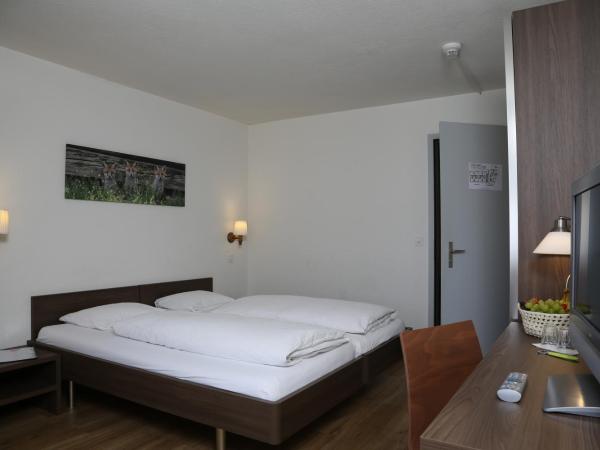Hotel Crystal Interlaken : photo 3 de la chambre chambre double standard
