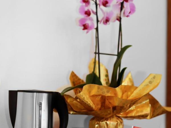 Residenza Cecchi B&B : photo 8 de la chambre chambre double avec salle de bains privative extérieure