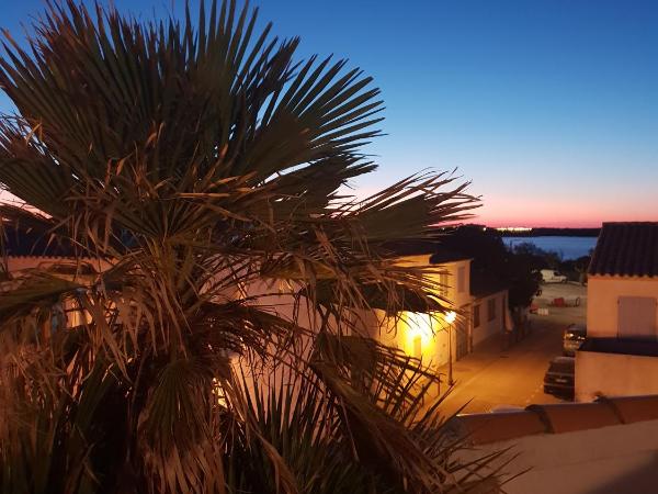 Hotel Les Palmiers En Camargue : photo 6 de la chambre chambre double confort avec terrasse ou balcon – vue partielle sur mer