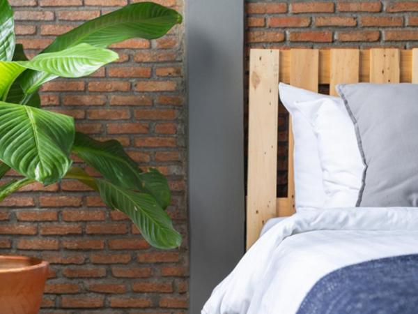 Better Moon Guesthouse : photo 3 de la chambre chambre deluxe