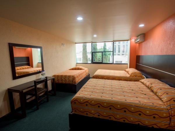 Oaxaca Inn Reforma : photo 2 de la chambre chambre familiale