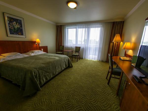 Hotel Silver : photo 4 de la chambre superior queen room with balcony - main building