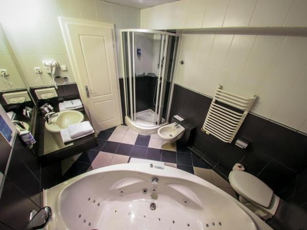 Hotel Silver : photo 4 de la chambre deluxe double room with balcony - new building