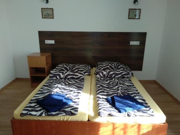 Acopark Vendégház : photo 4 de la chambre chambre lits jumeaux standard