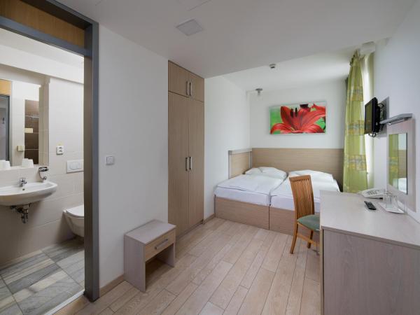 Hotel Ankora : photo 10 de la chambre chambre double ou lits jumeaux standard