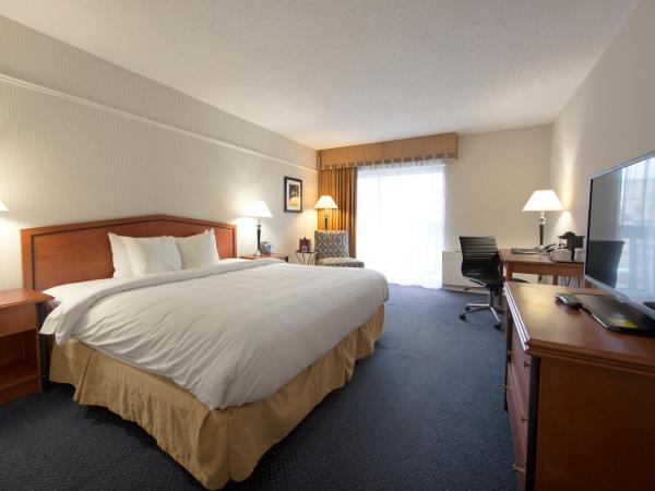 Toronto Don Valley Hotel and Suites : photo 3 de la chambre chambre lit king-size