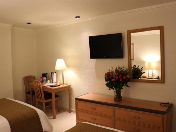 Hotel PF : photo 8 de la chambre chambre double standard avec 2 lits doubles