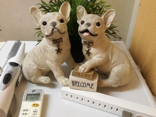 Shinjuku Sky hostel : photo 10 de la chambre chambre simple pour femmes avec douche et toilettes communes