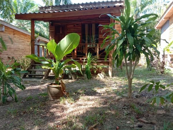 Mada Lanta Mai Keaw : photo 3 de la chambre chambre double standard avec ventilateur