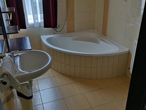 Borostyán Panzió Balatonfüred : photo 4 de la chambre appartement - vue sur jardin