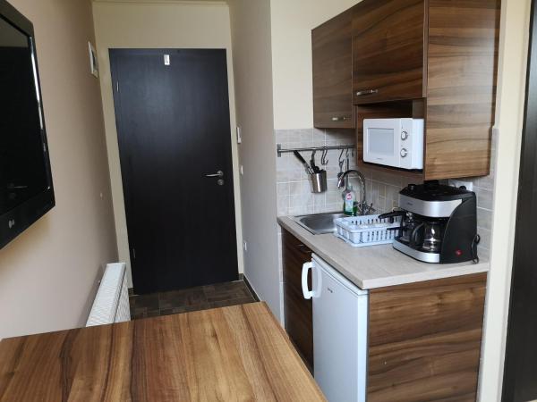 Borostyán Panzió Balatonfüred : photo 3 de la chambre appartement