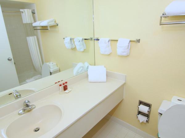 Ramada by Wyndham Kissimmee Gateway - Free Theme Park Shuttle : photo 3 de la chambre suite lit king-size deluxe avec canapé-lit - tour