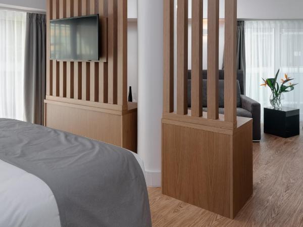 Elia Ermou Athens Hotel : photo 4 de la chambre suite junior