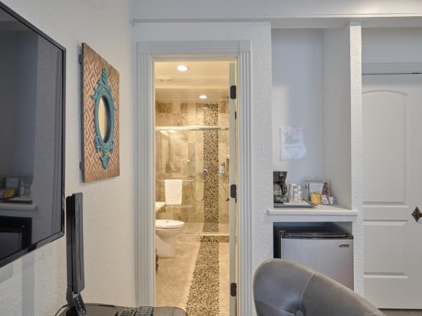 Houston Towers, Downtown Med Ctr, NRG, Adults only : photo 3 de la chambre voyager room