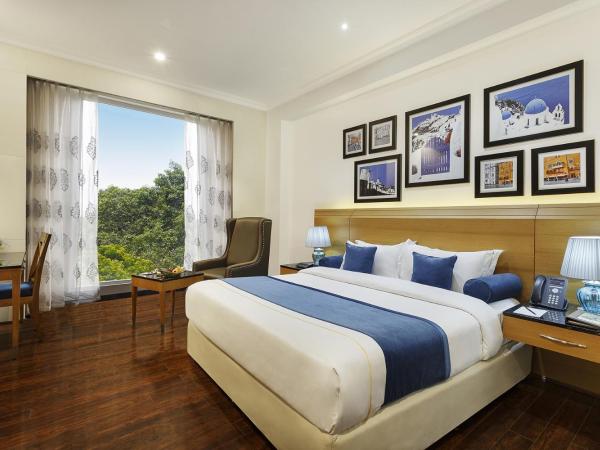 La Marvella, Bengaluru : photo 2 de la chambre chambre exécutive