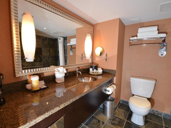 iHotel and Conference Centre Red Deer : photo 3 de la chambre chambre lit king-size