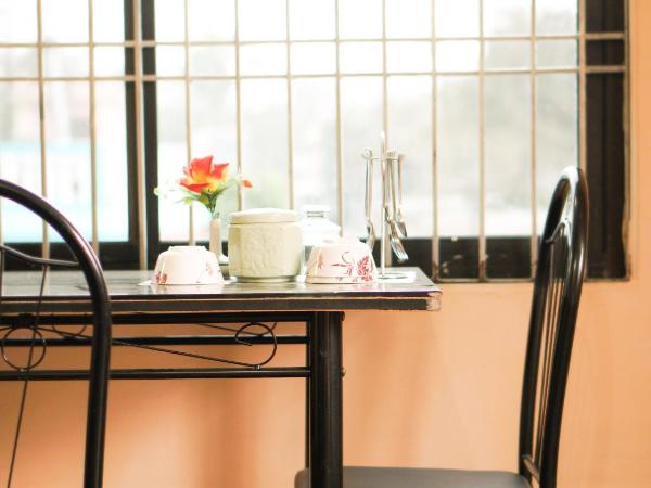 Hotel Mountain View - Lakeside Pokhara : photo 3 de la chambre appartement avec vue sur la montagne