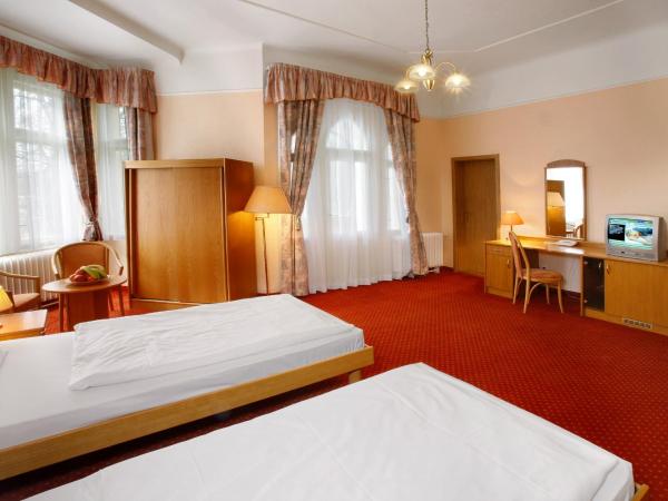Ensana Svoboda : photo 4 de la chambre chambre double ou lits jumeaux confort avec accès au centre de bien-Être