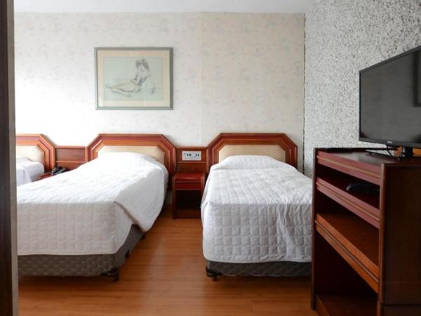 Caravelle Palace Hotel : photo 3 de la chambre chambre triple standard avec 3 lits simples