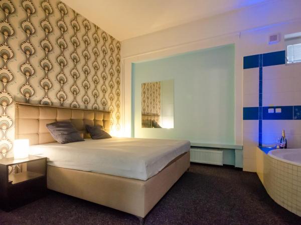 Penzion Hády : photo 3 de la chambre chambre double avec baignoire spa