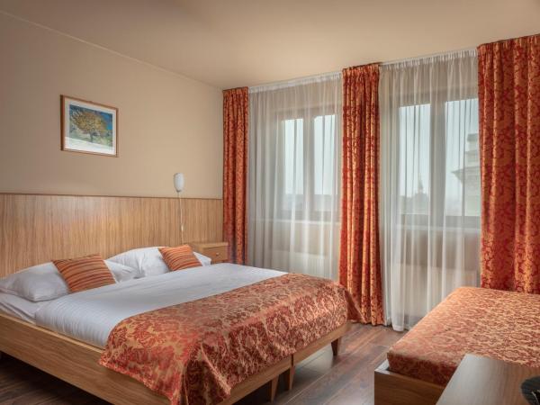 Hotel Superior Prague : photo 6 de la chambre chambre triple