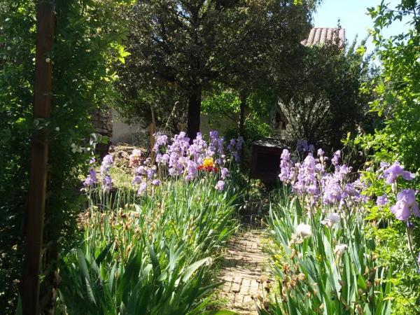 Le Jardin d'Adam : photo 1 de la chambre maison de vacances