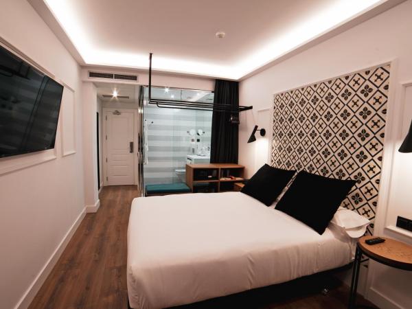 Hotel Colón Plaza : photo 7 de la chambre chambre double ou lits jumeaux supérieure