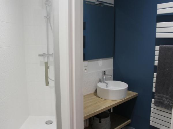 STUDIO COCON ULTRA CENTRE LE MANS : photo 1 de la chambre suite familiale