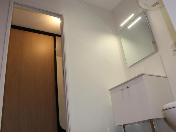 STUDIO COCON ULTRA CENTRE LE MANS : photo 10 de la chambre chambre double