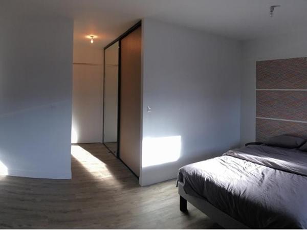 STUDIO COCON ULTRA CENTRE LE MANS : photo 4 de la chambre chambre double