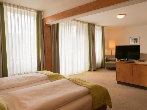 Hotel Mingarden : photo 4 de la chambre suite junior