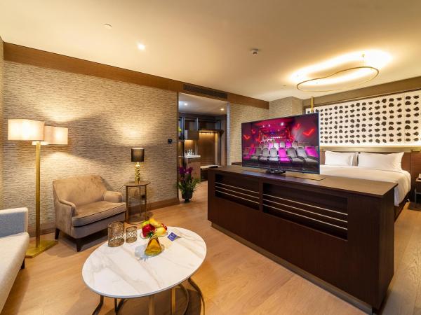 Radisson Collection Hotel, Vadistanbul : photo 10 de la chambre chambre collection premium - vue sur ville et forêt