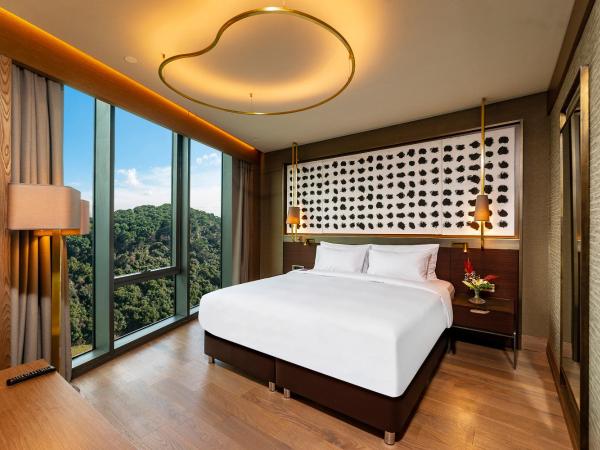 Radisson Collection Hotel, Vadistanbul : photo 6 de la chambre hébergement collection supérieure - vue sur ville et forêt