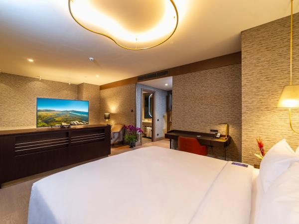 Radisson Collection Hotel, Vadistanbul : photo 9 de la chambre chambre collection premium - vue sur ville et forêt